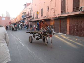 Местный транспорт в старом Марракеше